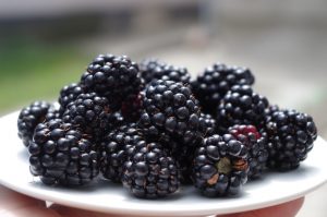 blackberries