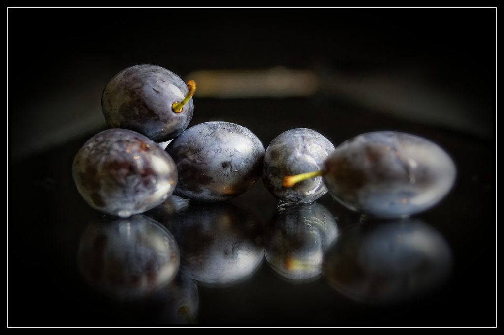 Wild Damsons