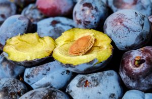 Plums for Plum Brandy