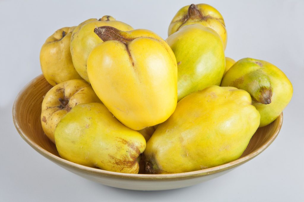 Quince fruit in a bowl