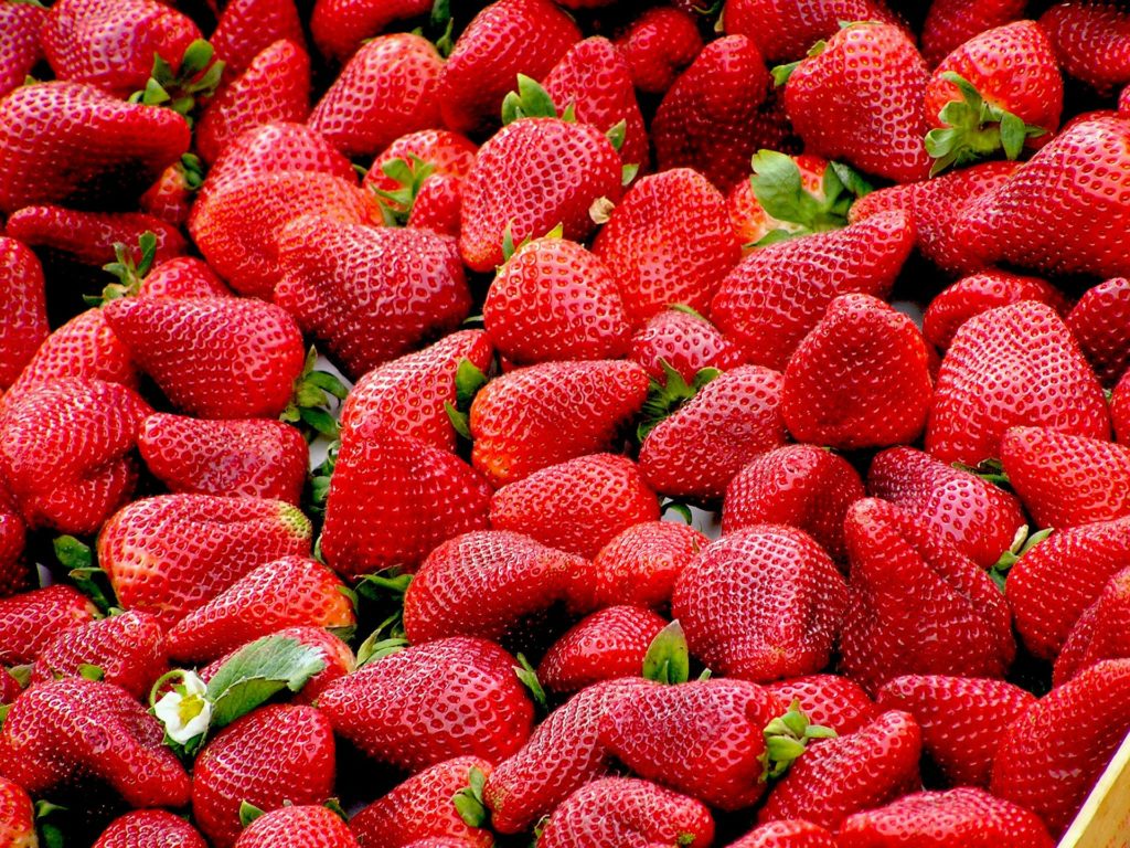 fresh strawberries