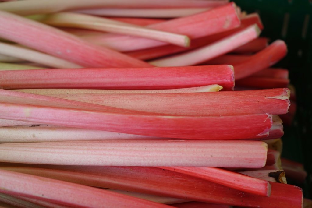 Pink Rhubarb