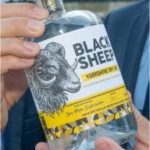 black sheep gin bottle